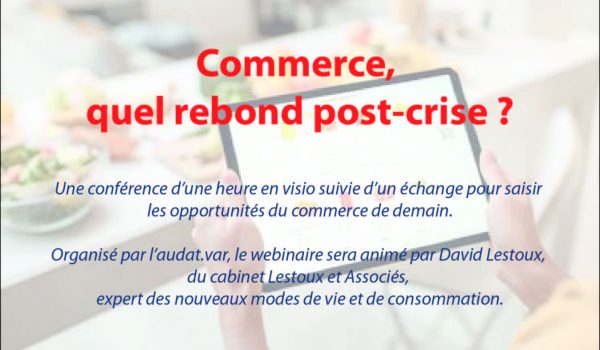 ImageLestoux_webinaireSendinblue-02