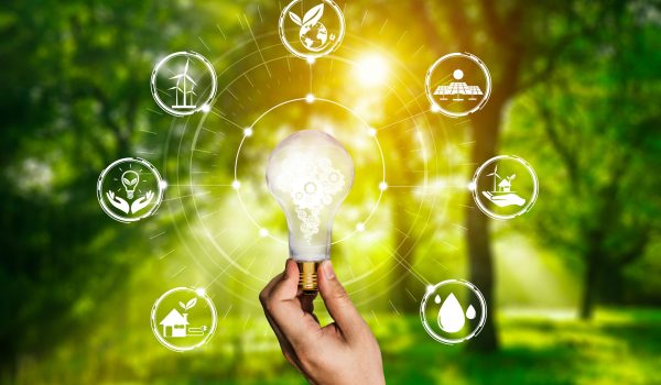 energy-innovation-light-bulb-graphic-interface-scaled