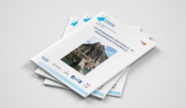 mockup_detrerminants_terri